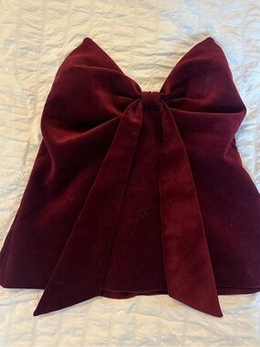 Zara velvet bow corset top